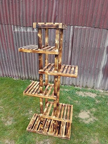 solmaz gülü: Gül rəfi — 10