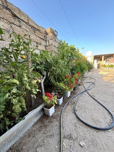 земельный участок в деревне: 3 соток, Для строительства, Риэлторам не беспокоить, Купчая — 10