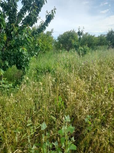 şərifzadə kucəsində satılan evlər: Kənd təsərrüfatı — 3