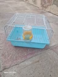 клетка для собак: İşlənmişdir 5 manat — 1