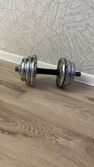 İdman çantaları: Ştanq, Çəki: 9 kq, İşlənmiş — 2