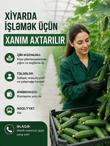 Xiyar sahəsində işləməyə 3 xanım işçi axtarilir iş Masallıdadir lalafo.az -da Xiyar sahəsində işləməyə 3 xanım işçi axtarilir iş Masallıdadir