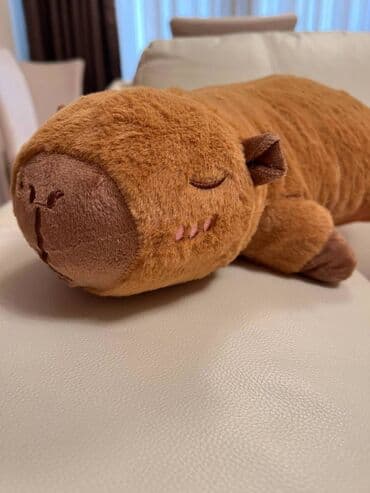 Uşaq arabaları: Salam Yastıq kimi kapibara satılır Çox yumşaqdır və təzə trenddir — 3