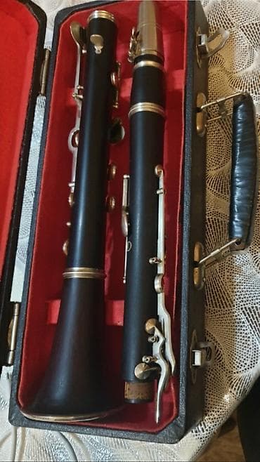 купить синтезатор бу: A klarnet fritz qanburq və hüller əla vəziyətdə ağac kökü iynə kimi — 2