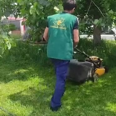 Landşaft işləri: 📍 Günlüy fehle — 1