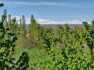 копилка на 100 тысяч таблица: Qusarin kendi 10 km arligda gozel ponramali yerdi tecili satilir — 7