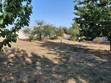 sumqayıtda 2 otaqlı kirayə evlər: 4 комнаты, 100 м², Нет кредита, Средний ремонт — 10