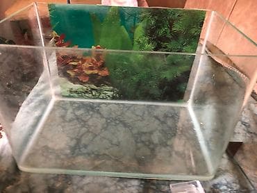 it şekilleri: Akvaryum üçün şüşə qapaq dəsti - Şəffaf şüşə qapaq: düzbucaqlı forma — 3