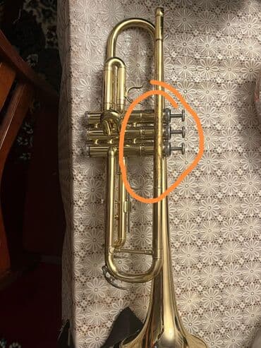 Sintezatorlar: Yamaha truba + ağızlıq - Marka/model: Yamaha (borunun zəng hissəsində — 9