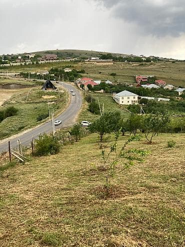 hamarmeşə kəndi: 12 sot, Tikinti, Mülkiyyətçi, Kupça (Çıxarış) — 2