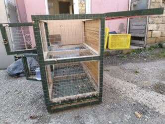 qurbanlıq qoyun qiymətləri 2024: Qəfəs satılır.bildirçin, dovşan,toyuq cücə və s . saxlamaq üçün — 4