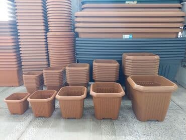 Digər bitkilər: Dibçək. Müxtəlif ölçü və modellər mövcuddur. Fərqli qiymətlərdədir — 5