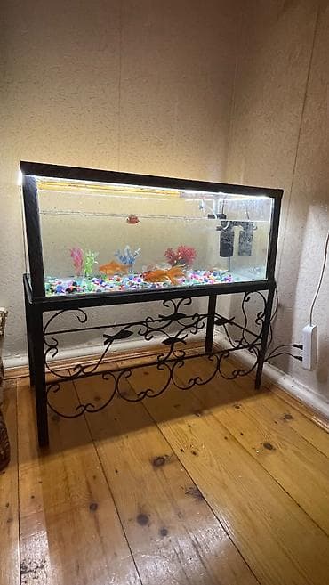 Зоотовары: Salam altdıgı demir akvarium havalandırma matoru var balıglarda — 1