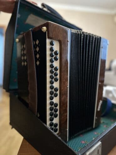 Sintezatorlar: Akustik Akkordeon — 2