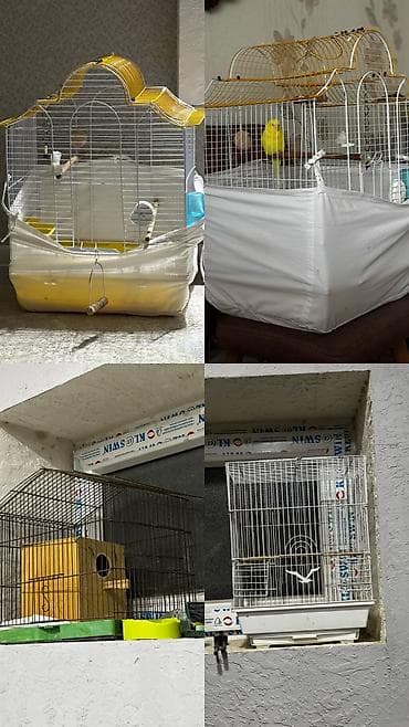 3 ədəd qəfəs ve 2 eded yuva