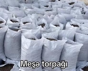 Məhsul: Meşə torpağı (çuvallarda) Təsvir: - Təbii meşə mənşəli, üzvi lalafo.az -da Məhsul: Meşə torpağı (çuvallarda) Təsvir: - Təbii meşə mənşəli, üzvi