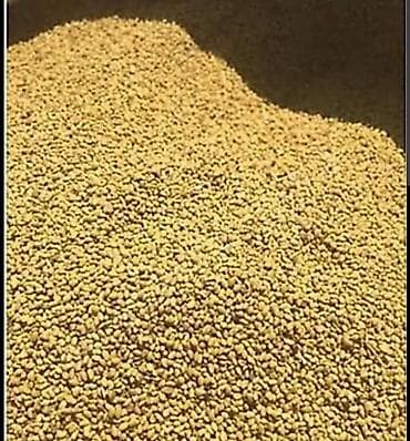 Temizlenmis 7 illik yonca toxumu 450 kq var alanla qiymetde lalafo.az -da Temizlenmis 7 illik yonca toxumu 450 kq var alanla qiymetde