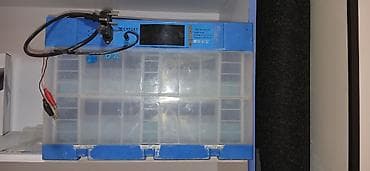 EXPERT Mini Inkubator - Model: Expert Mini Incubator (üst paneldə