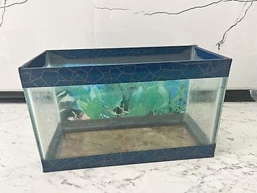 akvaryum: Dördbucaq akvarium, Boş, 6 l, Ünvandan götürmə — 2