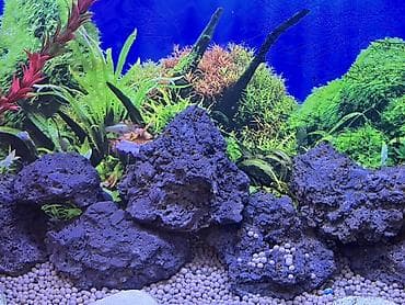 pisik aksesuar: Akvaryum üçün təbii lava daşları dəsti — 2