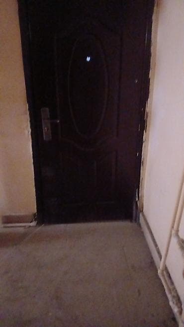 qapi ucuz: Daxili dəhliz üçün metal giriş qapısı - Material: polad korpus — 1