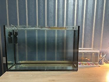 Böyük 80lt
Kiçik 6lt

Hər ikisi də satılır