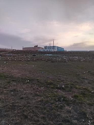 alisa qiymeti: 34 sot, Kənd təsərrüfatı, Kupça (Çıxarış) — 1