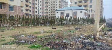 mx group inşaat: 6 sot, Tikinti, Mülkiyyətçi, Kupça (Çıxarış), Bələdiyyə — 1