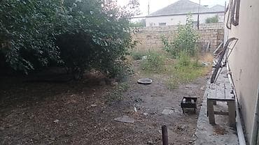 2 sot, Kənd təsərrüfatı, Mülkiyyətçi, Kupça (Çıxarış)