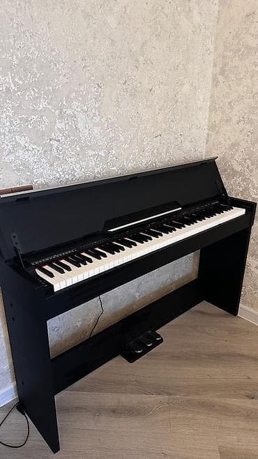piano kuban: Piano, Casio, Rəqəmsal, Yeni, Pulsuz çatdırılma — 1