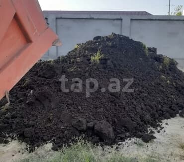 qoz bisiren qab: Bitki torpaqları — 1