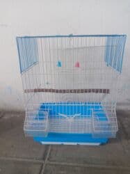 qus qefes: Papuqay qəfəsi az müddət istifadə olunub üstündə taxta yuvası da — 3