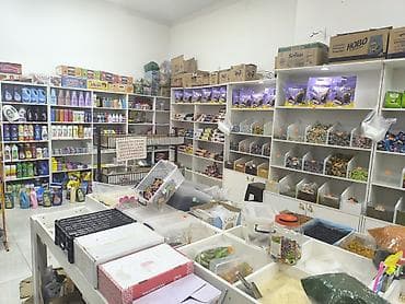 ref: Barakat Çərəz Dünyası – HAZIR BİZNES GİBİ SATILIR . Arendasi 600 — 5