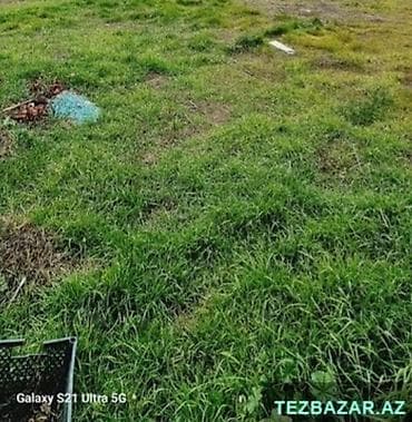 satışda ola mağazalar: 3 sot — 1