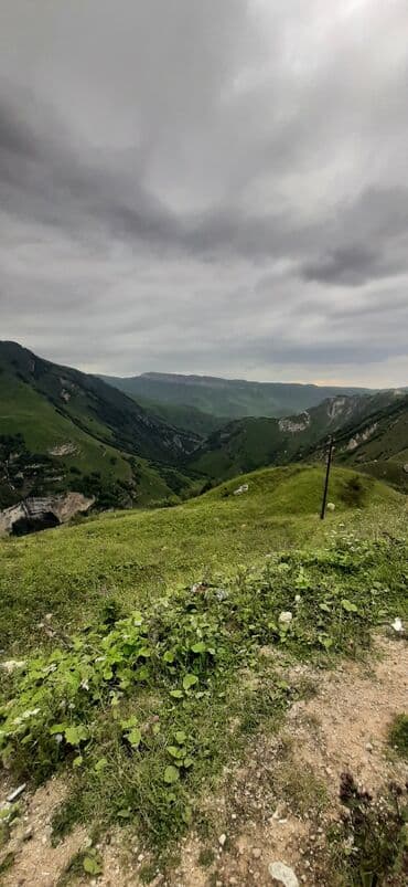 баку набрань такси: Minivan, 8 Oturacaq — 4