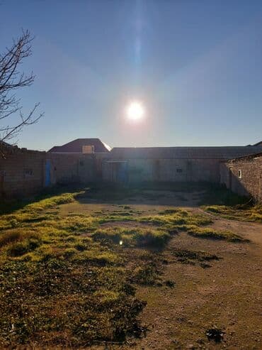 xacmaz rayonu: Bakı, Qala qəs., 550 kv. m, 3 otaqlı, Hovuzsuz, Artezian quyusu, Qaz, Su — 16