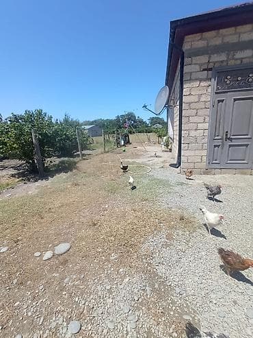 28 may qesebesi: Satışa çıxarılır: həyətyanı sahəsi olan fərdi yaşayış evi - Tikinti — 3