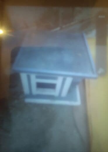 дрессировка собак баку: İtlər — 2