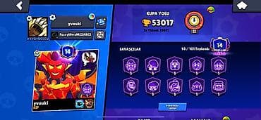Brawl Stars hesabı – yüksək səviyyəli profil - Kupa Yolu: 53 017 (ən