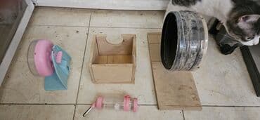 енот в баку купить: Ayın 19 /31 kimi narahat eliyə bilərsiz — 1