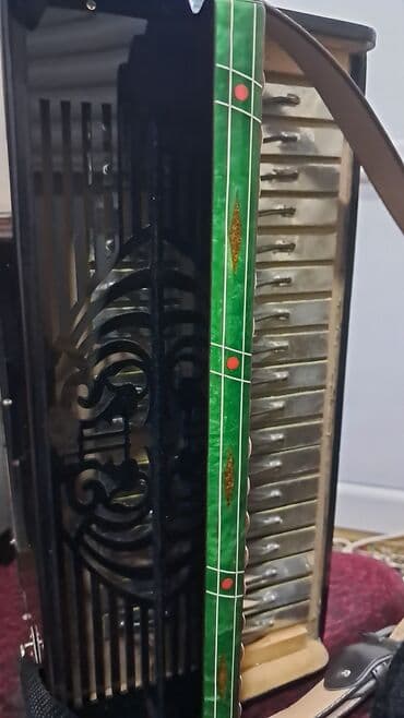 1 cent neçə manatdır: Akustik Akkordeon — 5