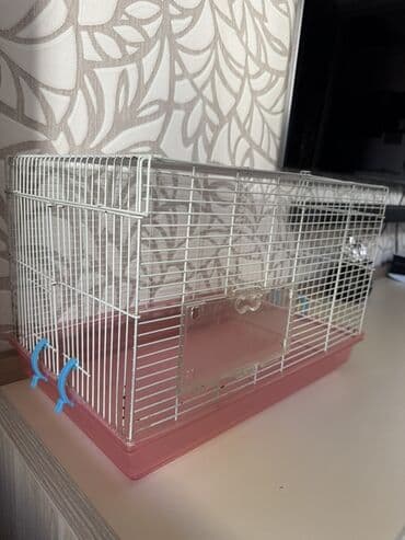 большая клетка для грызунов: Kiçik heyvan qəfəsi - Ölçü: təxmini orta ölçülü (uzun düzbucaqlı — 4