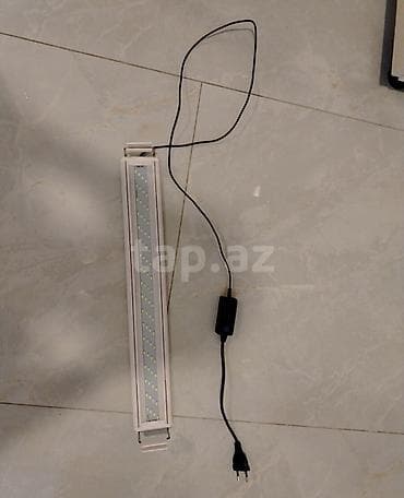 tetra: Dördbucaq akvarium, Balıqlarla birlikdə, 70 l, Ünvandan götürmə, Ödənişli çatdırılma, Rayonlara çatdırılma — 5