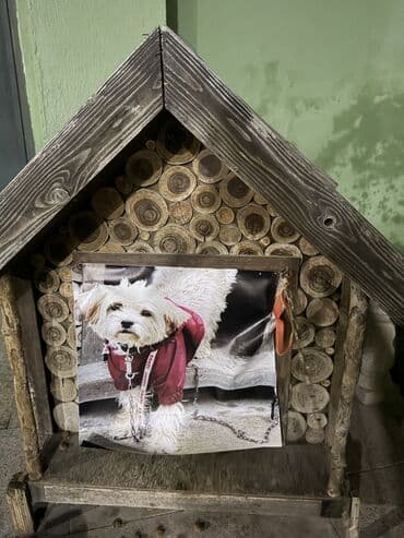 Taxta it evi.islenib yeniden secilmir ela veziyyetdedir.temiz