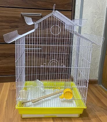Korella hazır cütdü. En son keçen il bala almışam. Ondan sonra yuvanı — 9