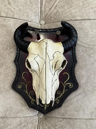 Pastel dəstləri: Orginal Qoç başı Rusyada hazrlanıb dəyəri bahadı köçdüyümüz üçün — 1