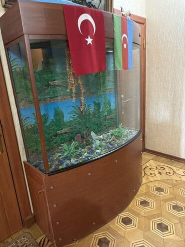 продажа аквариумных рыбок: Dördbucaq akvarium, 100 l, Pulsuz çatdırılma — 2