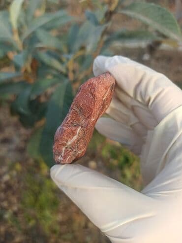 qızılın 1 qramının qiyməti 2022: 💎 Təbii JASPER Daşı😍 Qiymətlə bağlı maraqlananlar zəhmət olmasa — 10