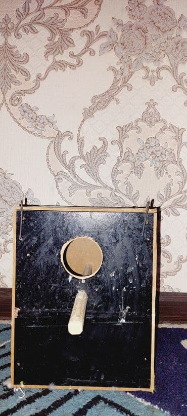 компрессор для аквариума бишкек: Qefes yuva su qabı qefes paltarı 22man.ünvan xırdalan sultan sarayın — 1