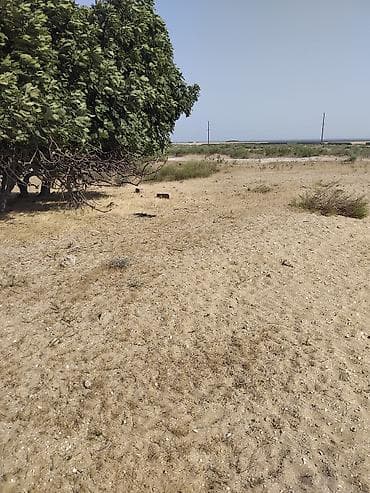 gencede ev: 60 sot, Tikinti, Maklerlər narahat etməsin, Bələdiyyə — 6